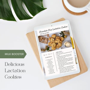 Stillzeit Kekse Rezept für stillende Mutter Muttermilch-Versorgung Booster Zutaten Chocolate Chip Cookies Datteln, Zimt, Hafer Milchfrei