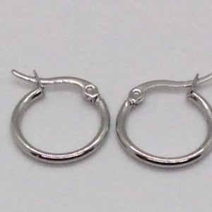 Small Silver or Gold Stainless Steel Hoops, Non-Tarnish, Non-Allergenic. Great gift. Waterproof.
