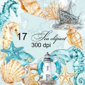 Elementos marinos transparentes de acuarela, estrellas de mar, caballitos de mar, conchas 17 PNG clipart digital Paquete de clipart marino Álbum de recortes tarjeta