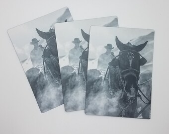 Horse Photo Magnet, Jackson Hole Wyoming Souvenir, Black and White Magnet, Draft Horse Art Gift