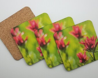 Indian Paintbrush Flower Coaster Set, Wildflower Photo Red Decor, Housewarming Gift for Garden Lover