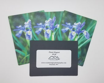 Wild Iris Flower Magnets, Wildflower Photo Gift, Wyoming Gift for Mom, Purple Flower Magnets