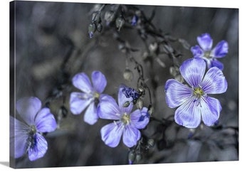 Wild Flax Flowers Wyoming Photo, Ready to Hang Unframed Canvas Wall Art, Purple Floral Decor, Mothers Day Gardener Gift