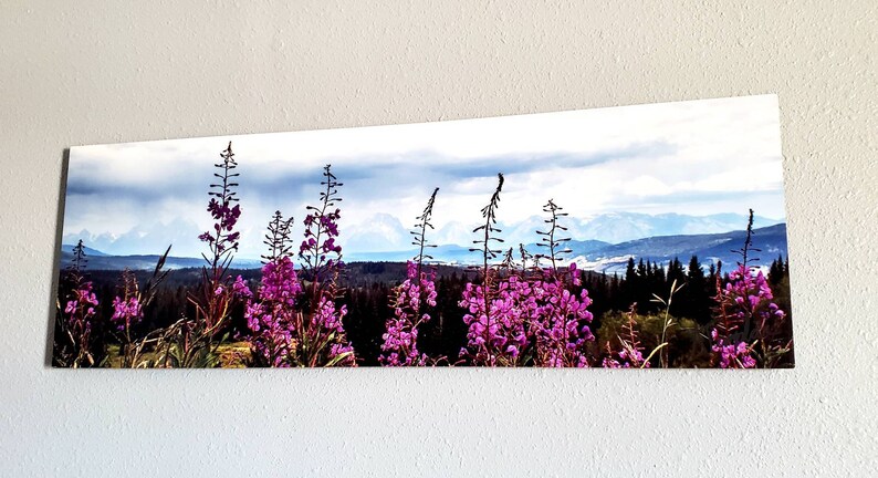 Fireweed 12x36 Metal Wall Art, Mountain Decor Aluminum Print, Wyoming Wildflower Panoramic Art, Photo Gift for Mom image 3