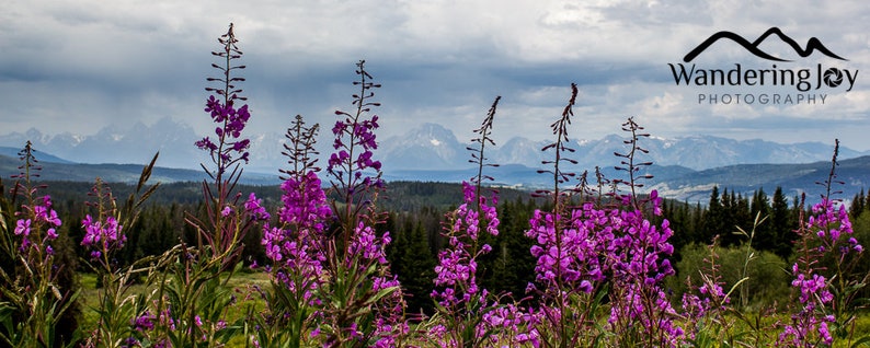 Togwotee Pass Wildflowers, Grand Teton National Park Ornament, Wyoming Fireweed Photo Christmas Gift image 3