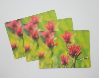 Wildflower Photo Magnet, Flower Gift for Mom, Indian Paintbrush Wyoming Art, Red Flowers