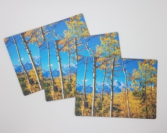 Grand Teton Aspen Photo Magnet, National Park Mountain Art, Wyoming Souvenir Gift