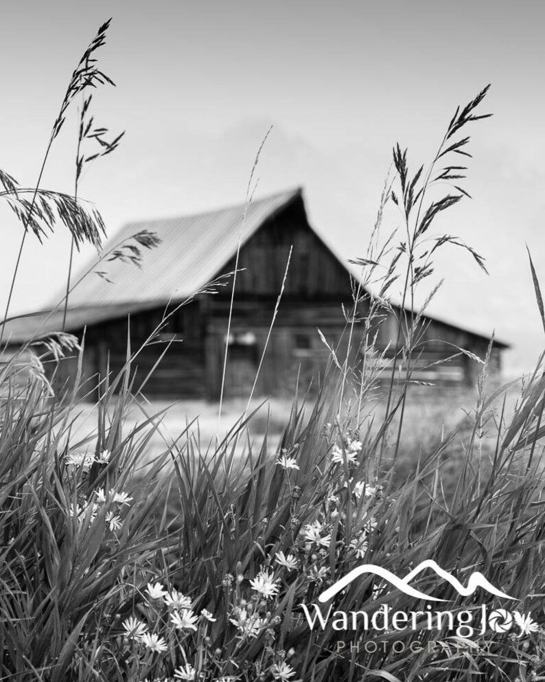 Moulton Barn Black and White Canvas Print, Grand Teton National Park Wall Art image 3