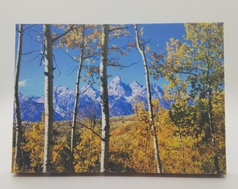 Grand Teton 5x7 Mini Canvas, Aspen Tree Fall Photo Print, Teton Mountains Desktop Decor, Tiny House Shelf Art, Jackson Hole Wyoming Souvenir