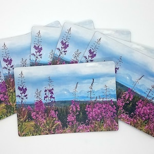 Wyoming Wildflower Mountain Magnet, Grand Teton National Park Photo, Teton Mountain Range Jackson Hole Souvenir Magnet, Ready to Ship Gift