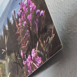 Fireweed 12x36 Metal Wall Art, Mountain Decor Aluminum Print, Wyoming Wildflower Panoramic Art, Photo Gift for Mom image 5