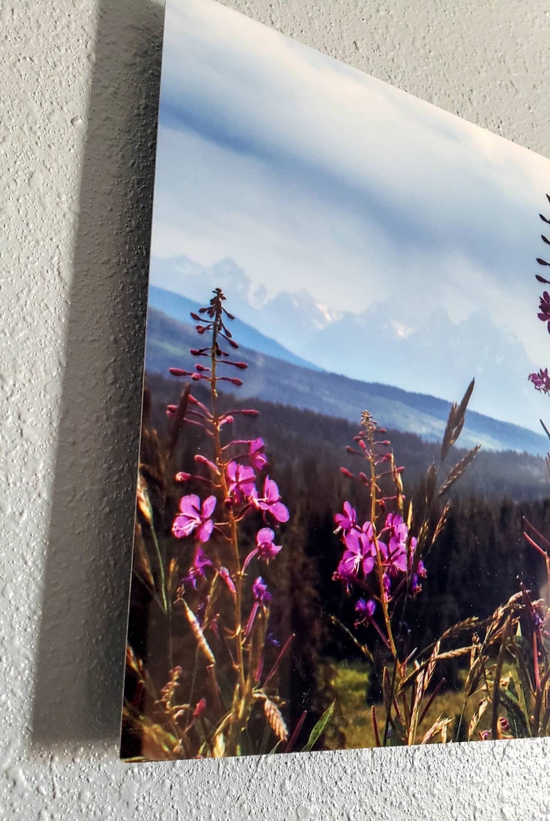 Fireweed 12x36 Metal Wall Art, Mountain Decor Aluminum Print, Wyoming Wildflower Panoramic Art, Photo Gift for Mom image 4