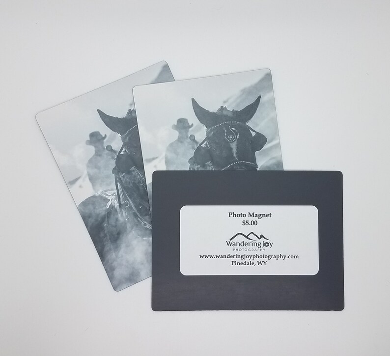 Horse Photo Jackson Hole Wyoming Souvenir Black and Etsy