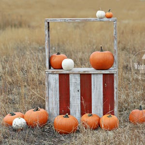 Val digitale achtergrond, pompoen, val digitale achtergrond, pompoen Patch digitale achtergrond staan achtergrond, pompoenen, Halloween Stand, Val