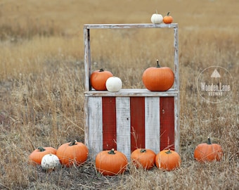 Fall Digital Backdrop, Fall Digital Background, Pumpkin Patch Digital Background, Pumpkin Stand Backdrop, Pumpkins, Halloween Stand, Fall