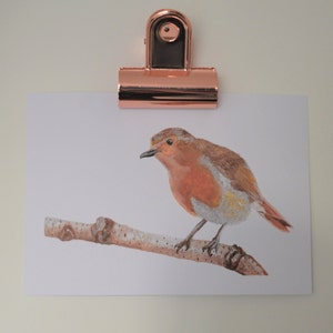 Robin Aquarell Malerei Vogel Winter rot Kunstdruck