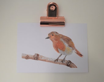 Robin Watercolour Painting Bird Winter Red Art Print