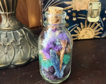 Altars, Shrines and Tools / Crystal Terrarium Bottle / Feather, Bone, Moss, and Trinket Bottle / Witchy Home Decor / Glass Bottle with Cork