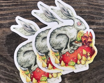 Vinyl Sticker “Down The Rabbit Hole” Mushroom Illustration