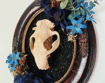 May include: An oval, dark red framed piece featuring a skull, blue flowers, and feathers. The skull is centered on a black background with gold trim. Blue flowers and feathers are arranged around the skull, with three oval stones at the bottom.