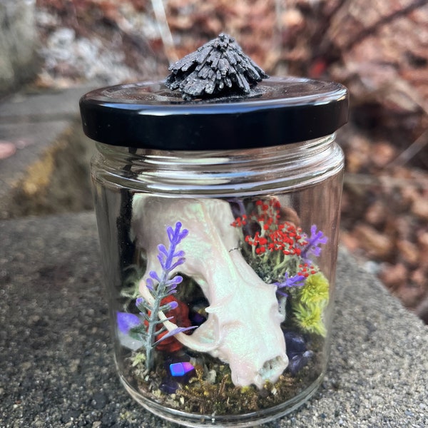 Bone Glass Jar Terrarium with Mink Skull / Altar Tools / Oddity & Curiosity Bottle / Occult Home Decor