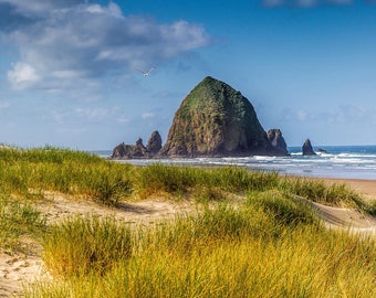 May include: A large, rocky island with green vegetation sits in the ocean. The island is surrounded by blue water and a sandy beach. The sky is blue with white clouds.