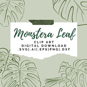 Downloadable Monstera Clip Art Bundle, Monstera Cut File, Plant SVG Bundle, Monstera Leaf PNG, Monstera Leaf eps , plant clip art, plant svg