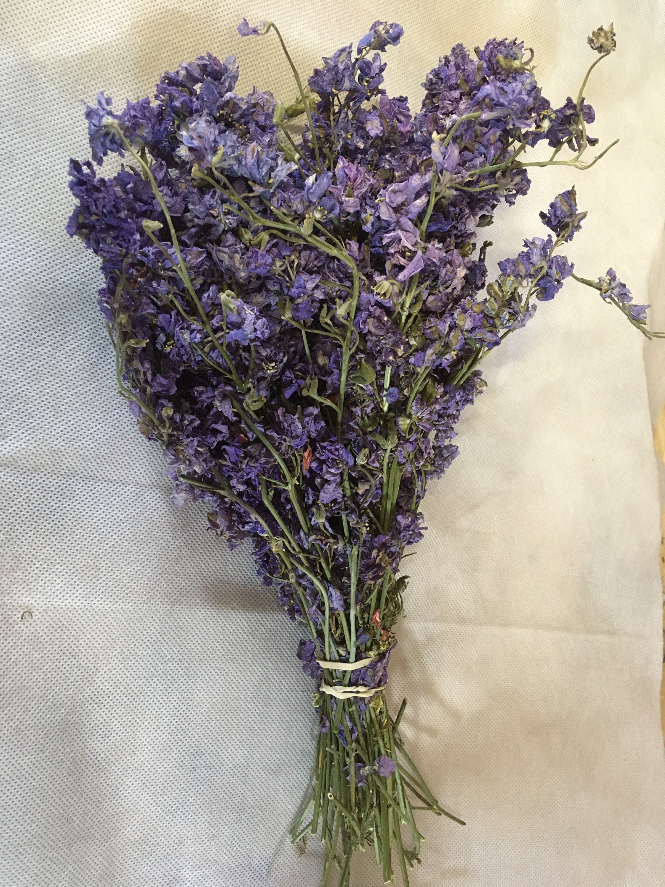 Dried blue delphiniums bunch dried flowers bunch dried blue Etsy