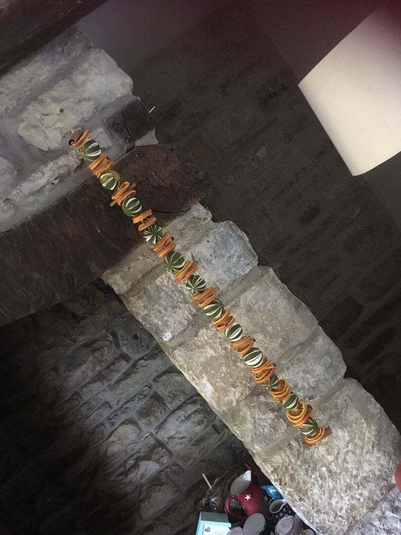 Dried Fruit Garland 1 Metre Etsy