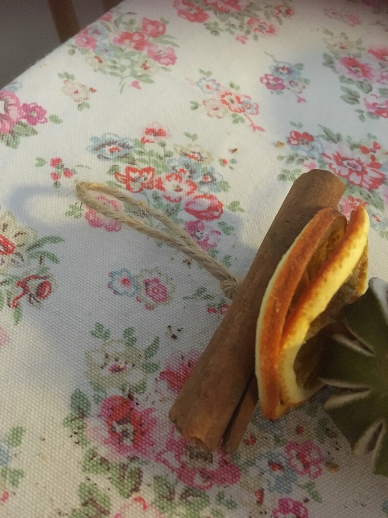 Dried Fruit Garland 1 Metre Etsy