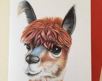 Personalised Alpaca A5 Greetings Card, Alpaca Birthday Card, Unique Birthday, Personalised Alpaca Card