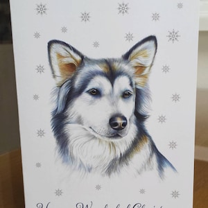 6 Cartões de Natal A6 ilustrados da Husky