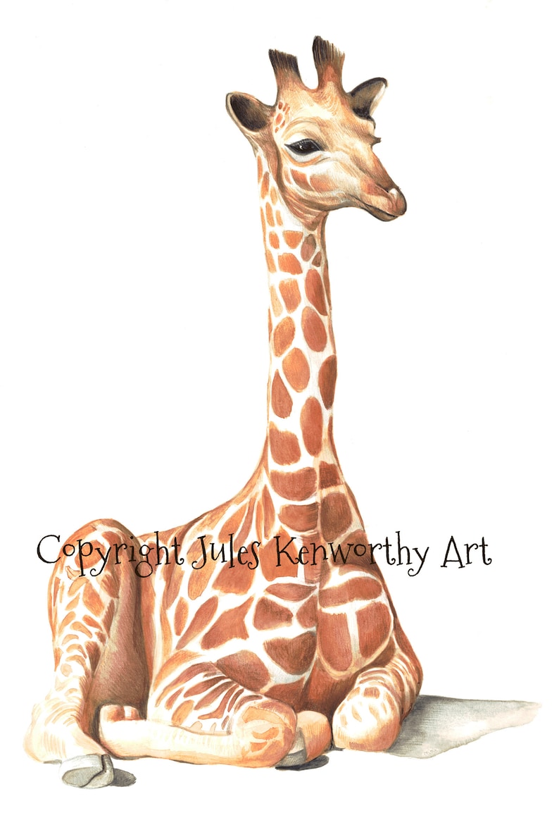 Personalised Print Signed Limited Edition Baby Giraffe Calf Illustrated Gicl\u00e9e Print FREE POSTAGE to UK