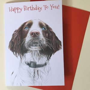 Cartão de cumprimentos personalizado Springer Spaniel A5, cartão de aniversário Springer Spaniel, cartão Spaniel, cartão exclusivo, cartão Springer Spaniel