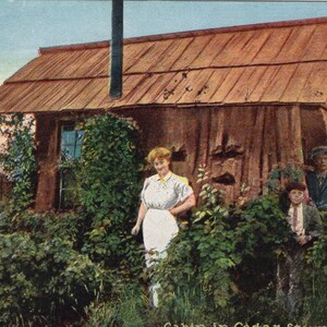 Cedar Stump Washington vintage, carte postale estampillée
