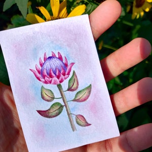 Protea ACEO Cartão Original Aquarela Arte Floral, Aquarela Protea, Flor ACEO Floral ACEO, Pintura em Aquarela 2,5 por 3,5” por Inna Esina