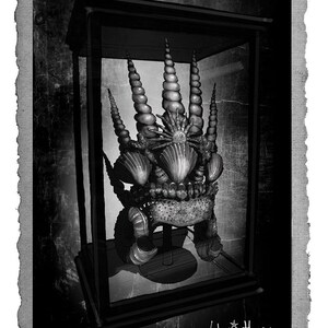 May include: A black and white illustration of a crown made of seashells, displayed in a glass case. The crown is made of many different types of shells, including scallops, oysters, and clams. The crown is sitting on a pedestal in the center of the case.