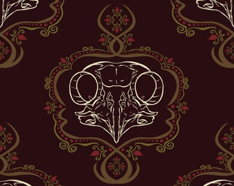 Boreal Owl Skull