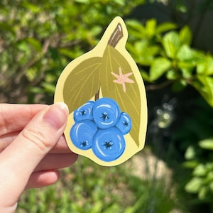 Blueberry star sticker | vinyl sticker, matte, water bottle and laptop sticker