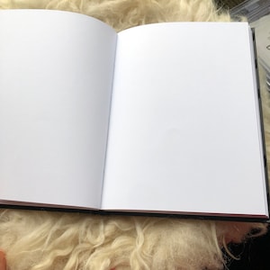 Dummy book refill for the hand felted covers A5 blank pages image 1