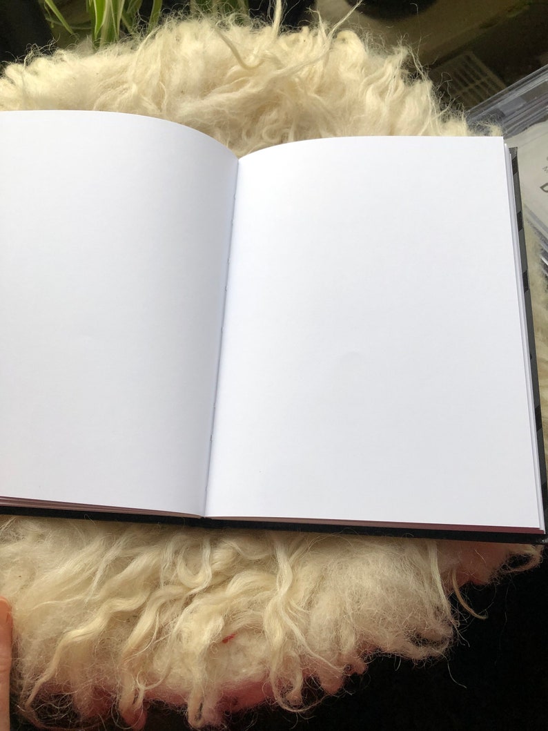 Dummy book refill for the hand felted covers A5 blank pages image 1