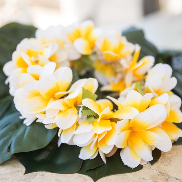 Deluxe SILK FLOWER HEADCROWN - White & Yellow Plumerias