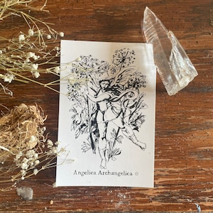 Cartão Postal Padrão Angelica Archangelica Saint Michael