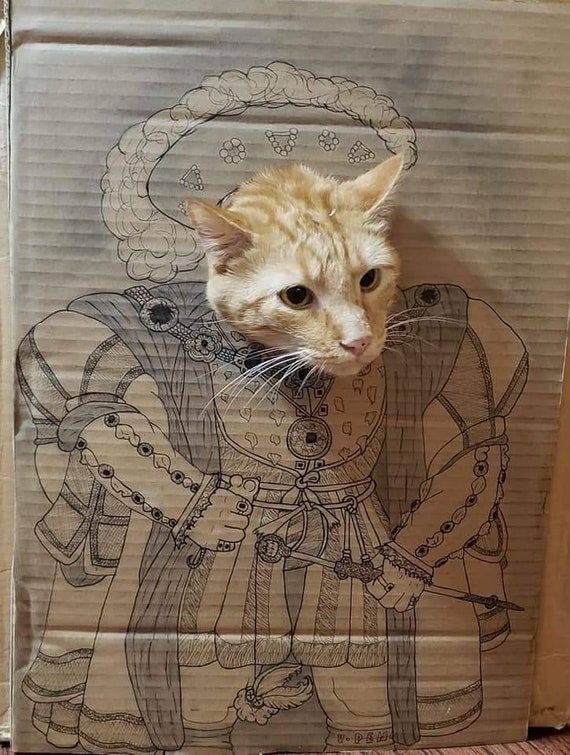 Cat boxes top for sale