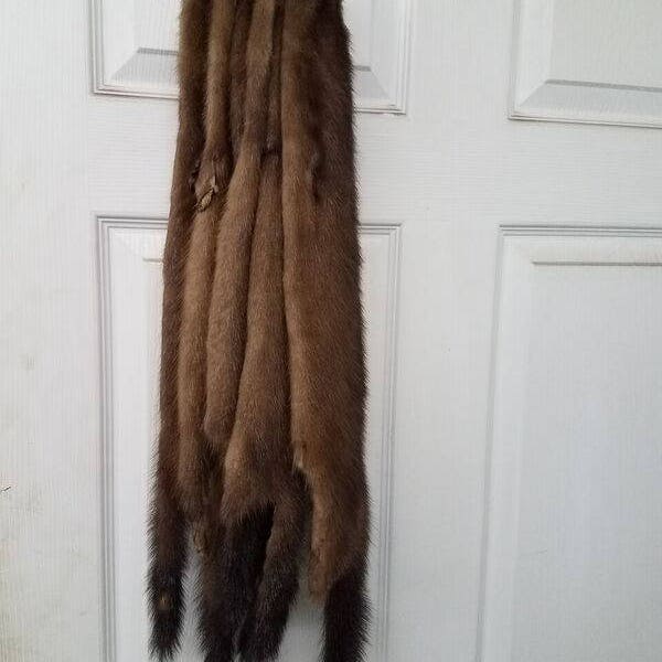 wild mink fur pelt hunt trap taxidermy hide cabin decorate craft native american