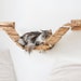 see more listings in the Cat furniture section