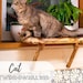 see more listings in the Cat furniture section