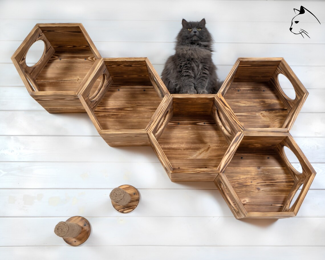 Wooden Hexagon Wall Cat Perch Wall Mounted Cat Etsy