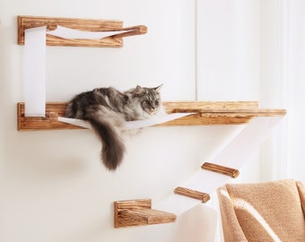 cool cat shelves
