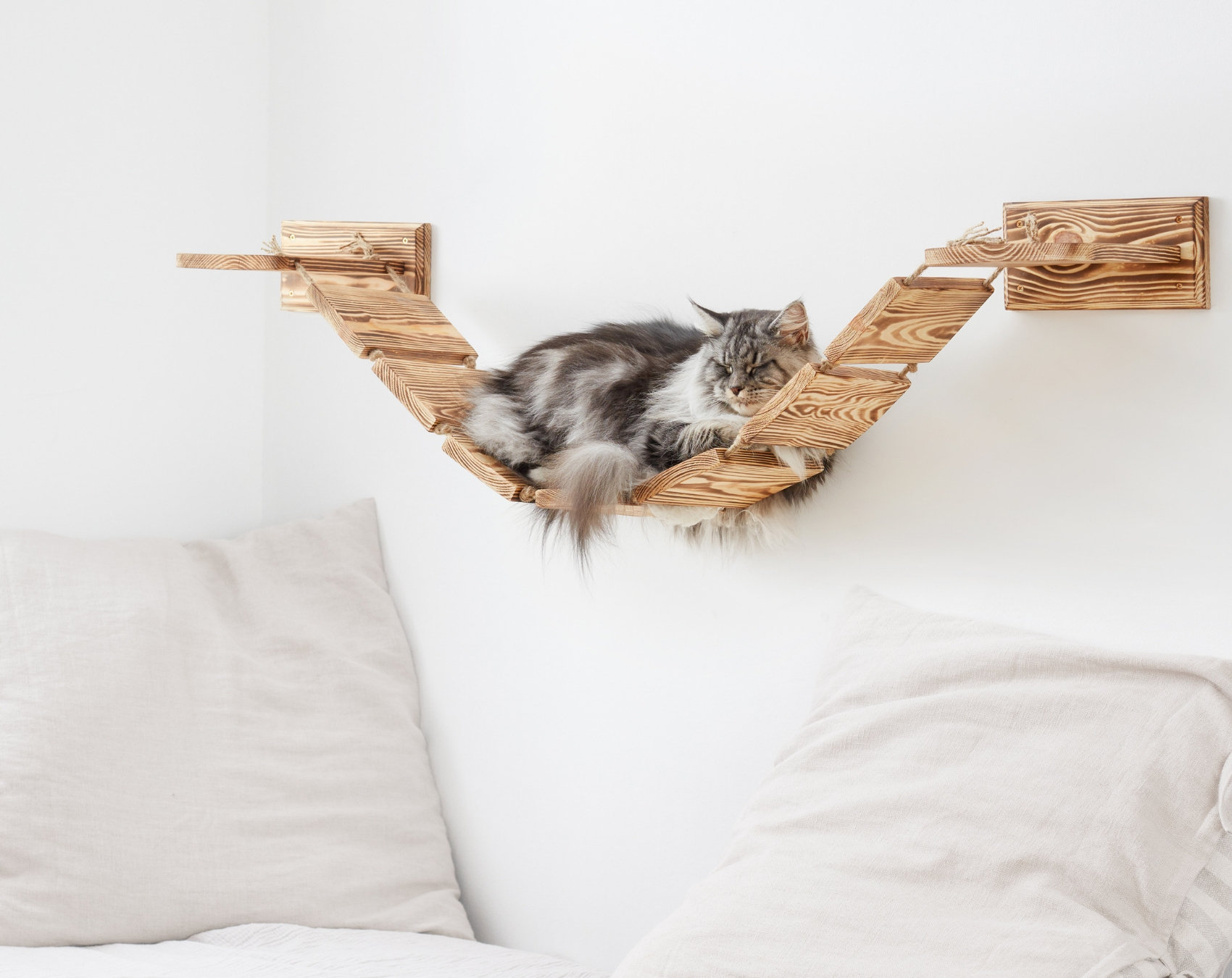 Large Wall Mounted Cat Bridge Lounge Platform Built Solid Etsy